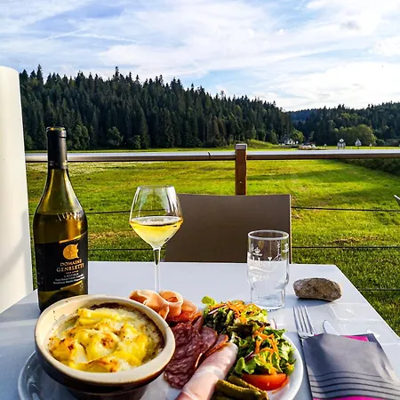 Du Chateau De Joux 3* La Cluse-et-Mijoux
