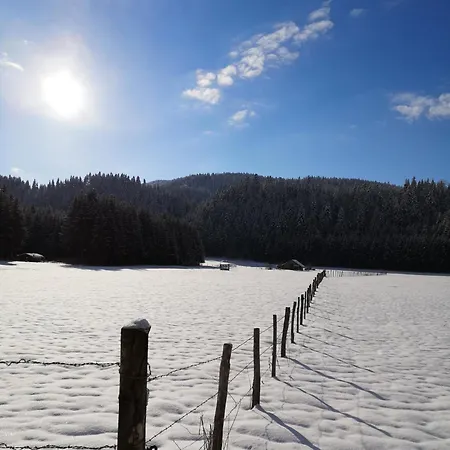 Отель Du Chateau De Joux