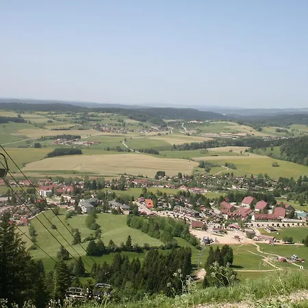 Отель Du Chateau De Joux 3*